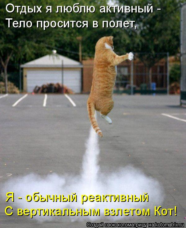 Отдых я люблю активный - Тело просится в полет, Я - обычный реактивный С вертикальным взлетом Кот!... Котоматрица: Отдых я люблю активный - Тело просится в полет, Я - обычный реактивный С вертикальным взлетом Кот!