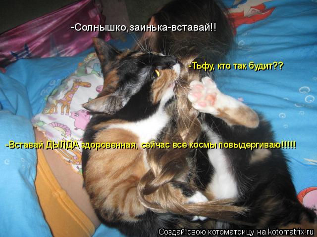 -Солнышко,заинька-вставай!! -Тьфу, кто так будит?? -Вставай ДЫЛДА здоровенная, сейчас все космы повыд... Котоматрица: -Солнышко,заинька-вставай!! -Тьфу, кто так будит?? -Вставай ДЫЛДА здоровенная, сейчас все космы повыдергиваю!!!!!
