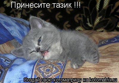 Принесите тазик !!!... Котоматрица: Принесите тазик !!!