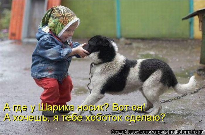 А где у Шарика носик? Вот он! А хочешь, я тебе хоботок сделаю?... Котоматрица: А где у Шарика носик? Вот он! А хочешь, я тебе хоботок сделаю?