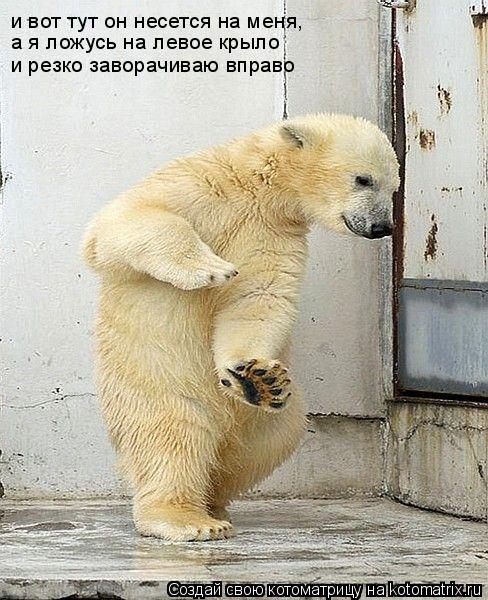 и вот тут он несется на меня, а я ложусь на левое крыло и резко заворачиваю вправо... Котоматрица: и вот тут он несется на меня, а я ложусь на левое крыло и резко заворачиваю вправо