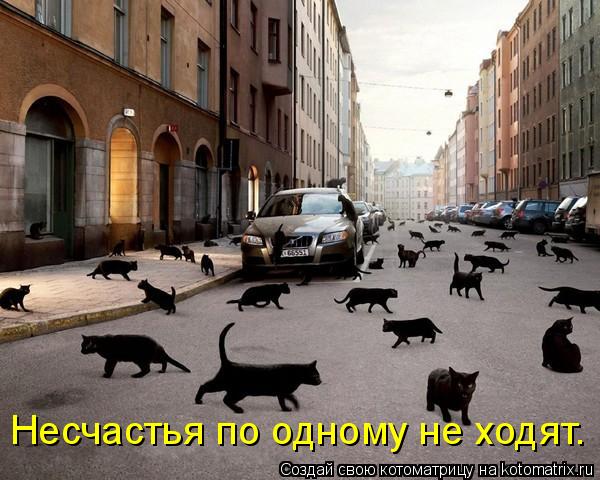 Несчастья по одному не ходят.... Котоматрица: Несчастья по одному не ходят.