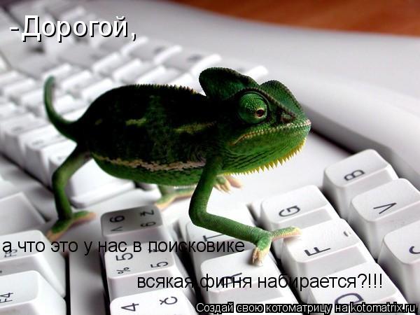 Дорогой, - а что это у нас в поисковике всякая фигня набирается?!!!... Котоматрица: Дорогой, - а что это у нас в поисковике всякая фигня набирается?!!!