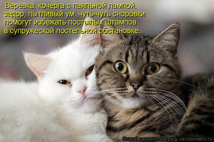 Верёвка, кочерга с паяльной лампой, задор, пытливый ум, чуть-чуть сноровки помогут избежать постылых ... Котоматрица: Верёвка, кочерга с паяльной лампой, задор, пытливый ум, чуть-чуть сноровки помогут избежать постылых штампов в супружеской постельной обст