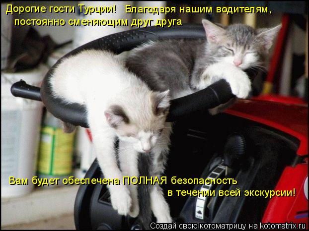 Дорогие гости Турции! в течении всей экскурсии! Вам будет обеспечена ПОЛНАЯ безопасность Благодаря на... Котоматрица: Дорогие гости Турции! в течении всей экскурсии! Вам будет обеспечена ПОЛНАЯ безопасность Благодаря нашим водителям, постоянно сменяющим д