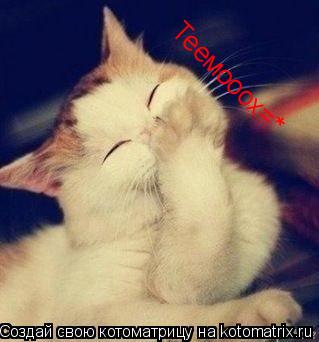 Теемооох=*... Котоматрица: Теемооох=*