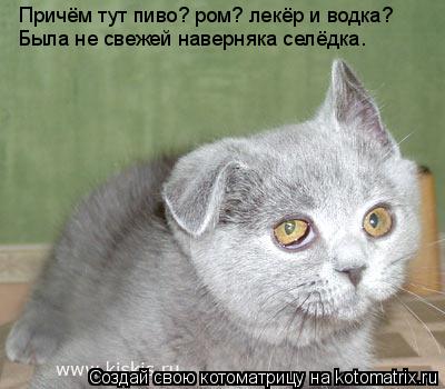 Причём тут пиво? ром? лекёр и водка? Была не свежей наверняка селёдка.... Котоматрица: Причём тут пиво? ром? лекёр и водка? Была не свежей наверняка селёдка.