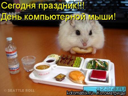 Сегодня праздник!!! День компьютерной мыши!... Котоматрица: Сегодня праздник!!! День компьютерной мыши!