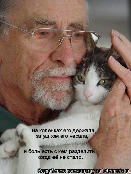 на коленках его держала, за ушком его чесала, и боль есть с кем разделить, когда её не стало.... Котоматрица: на коленках его держала, за ушком его чесала, и боль есть с кем разделить, когда её не стало.