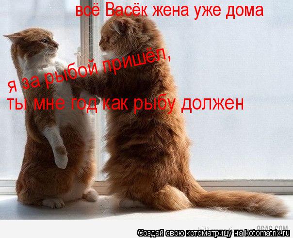 всё Васёк жена уже дома я за рыбой пришёл, ты мне год как рыбу должен... Котоматрица: всё Васёк жена уже дома я за рыбой пришёл, ты мне год как рыбу должен