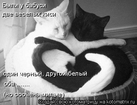 Были у бабуси две веселых киси один черный, другой белый оба ....... (но ооочень милые)... Котоматрица: Были у бабуси две веселых киси один черный, другой белый оба ....... (но ооочень милые)