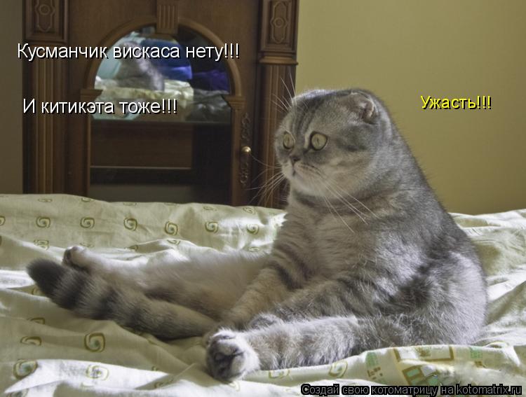 Ужасть!!! Кусманчик вискаса нету!!! И китикэта тоже!!!... Котоматрица: Ужасть!!! Кусманчик вискаса нету!!! И китикэта тоже!!!