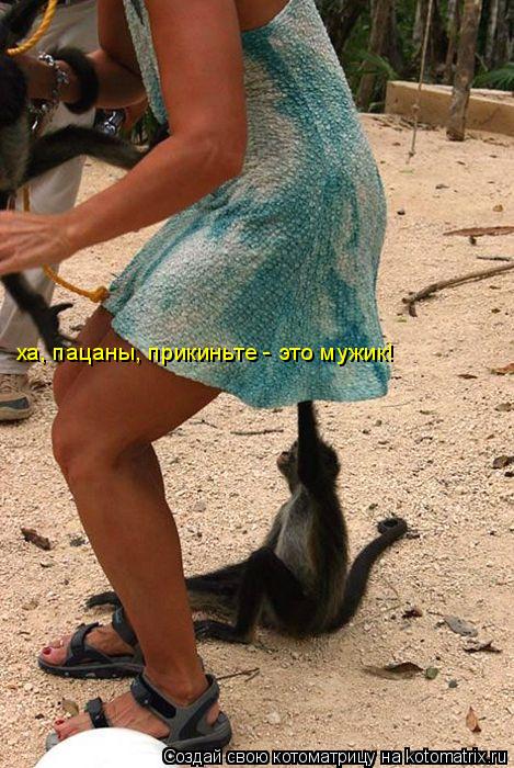 ха, пацаны, прикиньте - это мужик!... Котоматрица: ха, пацаны, прикиньте - это мужик!