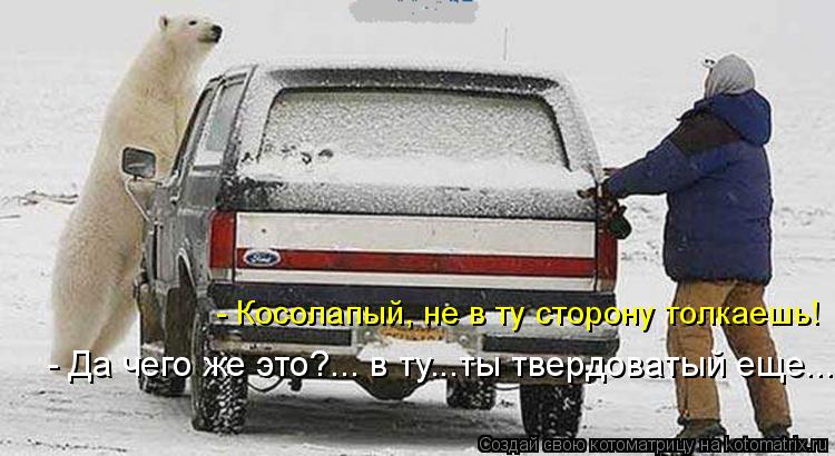 - Косолапый, не в ту сторону толкаешь! - Да чего же это?... в ту...ты твердоватый еще...... Котоматрица: - Косолапый, не в ту сторону толкаешь! - Да чего же это?... в ту...ты твердоватый еще...