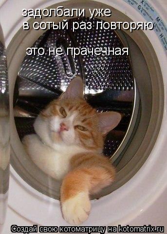задолбали уже в сотый раз повторяю это не прачечная... Котоматрица: задолбали уже в сотый раз повторяю это не прачечная