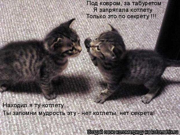 Под ковром, за табуретом Я запрятала котлету Только это по секрету !!! Находил я ту котлету... Ты зап... Котоматрица: Под ковром, за табуретом Я запрятала котлету Только это по секрету !!! Находил я ту котлету... Ты запомни мудрость эту - нет котлеты, нет секрет