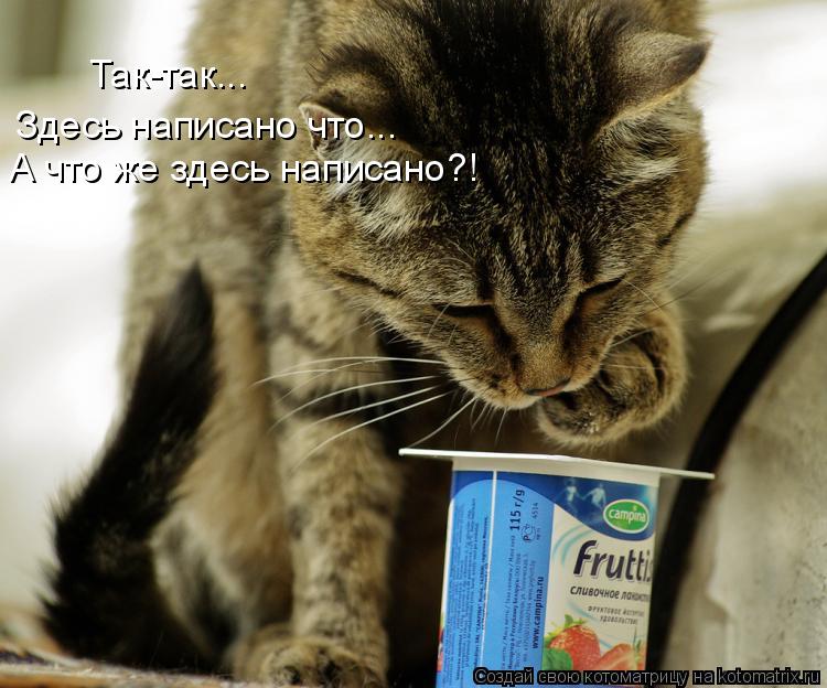 Так-так... Здесь написано что... А что же здесь написано?!... Котоматрица: Так-так... Здесь написано что... А что же здесь написано?!