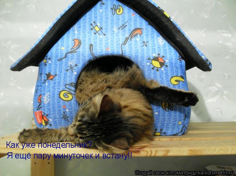 Как уже понедельник? Я ещё пару минуточек и встану!!... Котоматрица: Как уже понедельник? Я ещё пару минуточек и встану!!