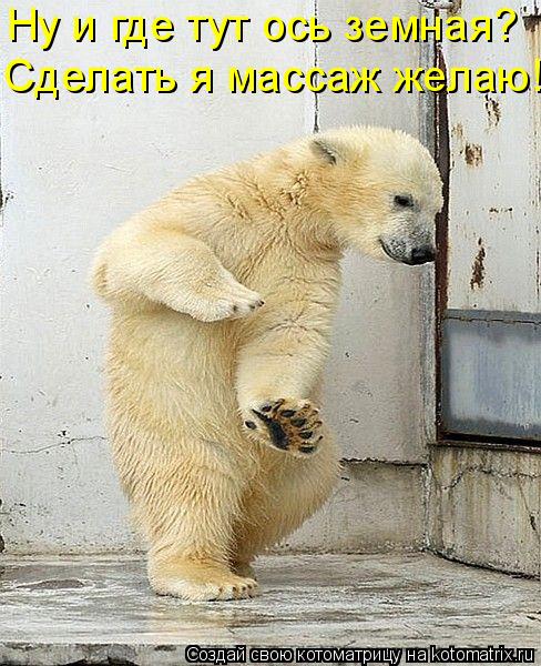 Ну и где тут ось земная? Сделать я массаж желаю!... Котоматрица: Ну и где тут ось земная? Сделать я массаж желаю!