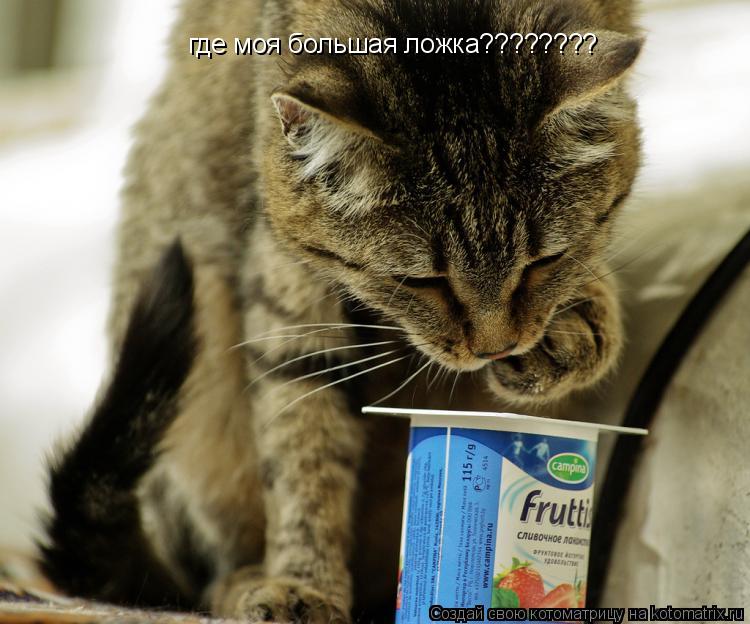 где моя большая ложка????????... Котоматрица: где моя большая ложка????????