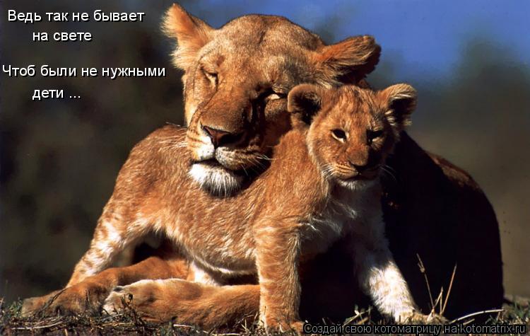 Ведь так не бывает на свете Чтоб были не нужными дети ...... Котоматрица: Ведь так не бывает на свете Чтоб были не нужными дети ...