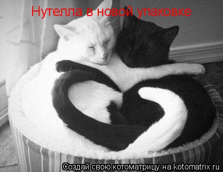 Нутелла в новой упаковке... Котоматрица: Нутелла в новой упаковке