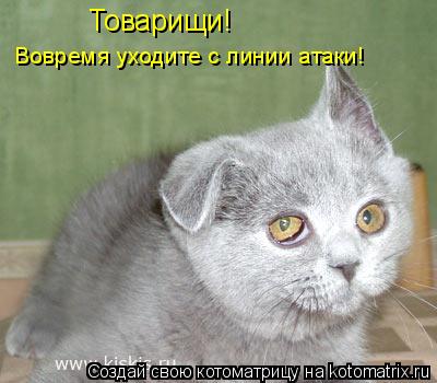 Вовремя уходите с линии атаки! Товарищи!... Котоматрица: Вовремя уходите с линии атаки! Товарищи!