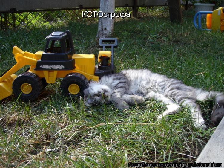 КОТОстрофа... Котоматрица: КОТОстрофа