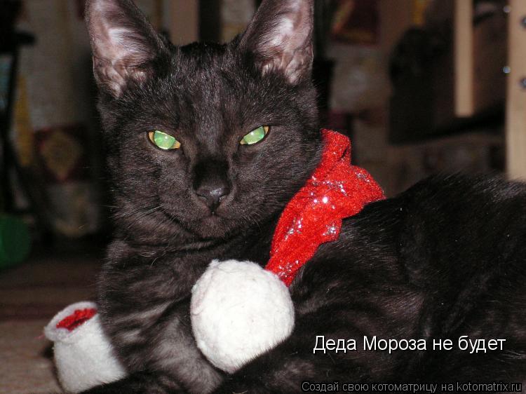 Деда Мороза не будет... Котоматрица: Деда Мороза не будет