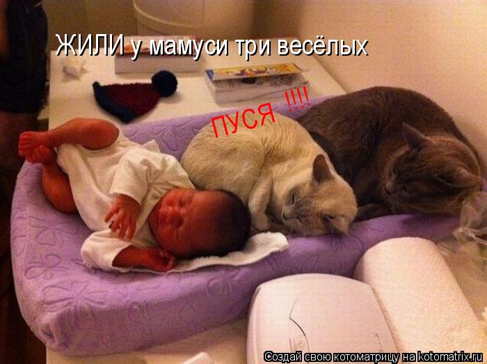 ЖИЛИ у мамуси три весёлых ПУСЯ !!!!... Котоматрица: ЖИЛИ у мамуси три весёлых ПУСЯ !!!!