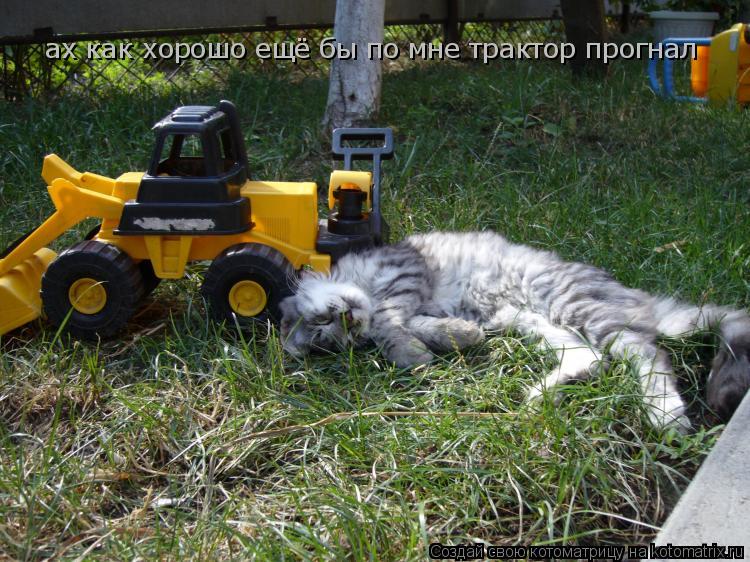 ах как хорошо ещё бы по мне трактор прогнал ах как хорошо ещё бы по мне трактор прогнал... Котоматрица: ах как хорошо ещё бы по мне трактор прогнал ах как хорошо ещё бы по мне трактор прогнал
