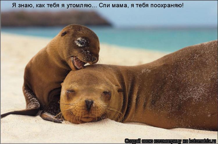 Я знаю, как тебя я утомляю... Спи мама, я тебя поохраняю!... Котоматрица: Я знаю, как тебя я утомляю... Спи мама, я тебя поохраняю!