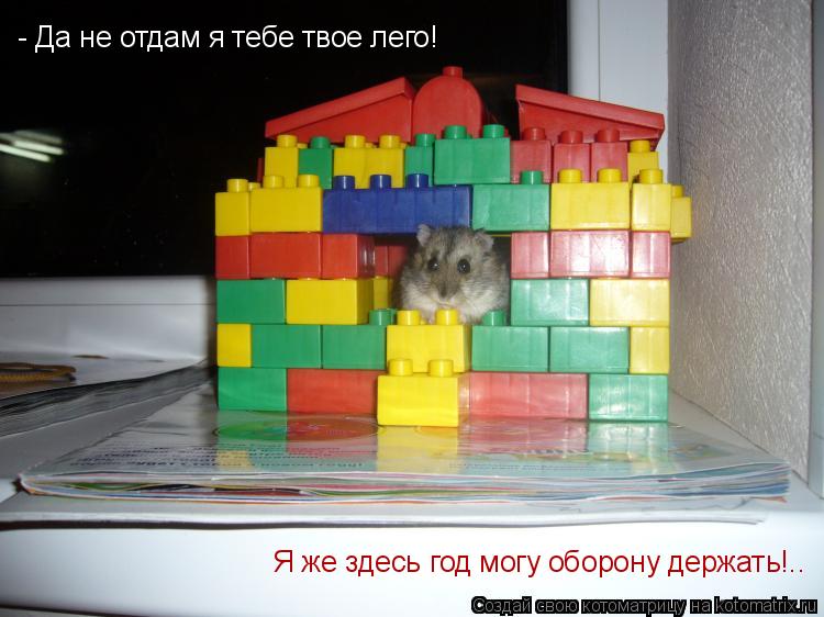 - Да не отдам я тебе твое лего! Я же здесь год могу оборону держать!..... Котоматрица: - Да не отдам я тебе твое лего! Я же здесь год могу оборону держать!..