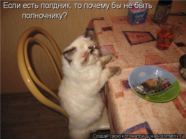 Если есть полдник, то почему бы не быть полночнику?... Котоматрица: Если есть полдник, то почему бы не быть полночнику?