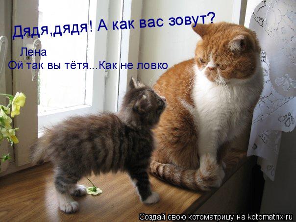 Дядя,дядя! А как вас зовут? Лена Ой так вы тётя...Как не ловко... Котоматрица: Дядя,дядя! А как вас зовут? Лена Ой так вы тётя...Как не ловко