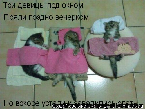 Три девицы под окном Пряли поздно вечерком Но вскоре устали и завалились спать... Котоматрица: Три девицы под окном Пряли поздно вечерком Но вскоре устали и завалились спать
