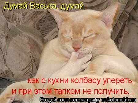 Думай Васька, думай как с кухни колбасу упереть, и при этом тапком не получить...... Котоматрица: Думай Васька, думай как с кухни колбасу упереть, и при этом тапком не получить...