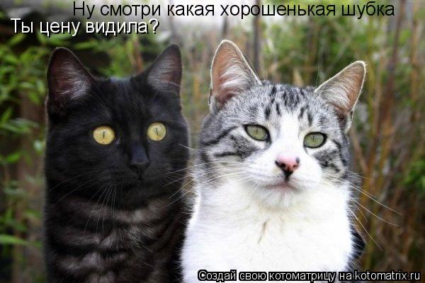 Ты цену видила? Ну смотри какая хорошенькая шубка... Котоматрица: Ты цену видила? Ну смотри какая хорошенькая шубка