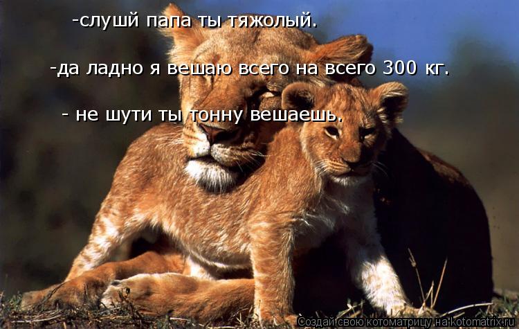 -слушй папа ты тяжолый. -да ладно я вешаю всего на всего 300 кг. - не шути ты тонну вешаешь.... Котоматрица: -слушй папа ты тяжолый. -да ладно я вешаю всего на всего 300 кг. - не шути ты тонну вешаешь.