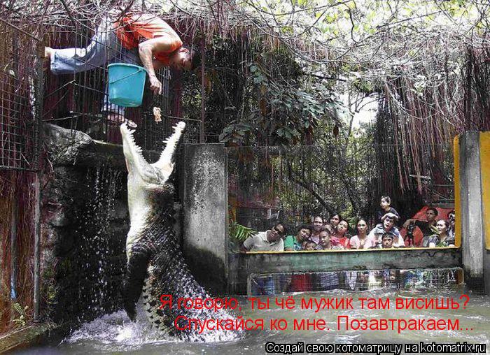 Я говорю, ты чё мужик там висишь? Спускайся ко мне. Позавтракаем...... Котоматрица: Я говорю, ты чё мужик там висишь? Спускайся ко мне. Позавтракаем...
