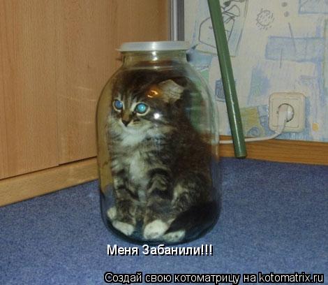 Меня Забанили!!!... Котоматрица: Меня Забанили!!!