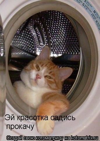 Эй красотка садись прокачу... Котоматрица: Эй красотка садись прокачу
