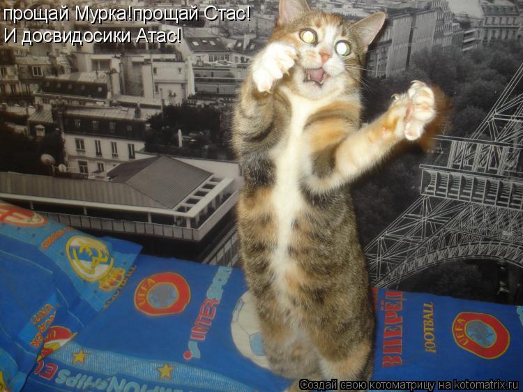 прощай Мурка!прощай Стас! И досвидосики Атас!... Котоматрица: прощай Мурка!прощай Стас! И досвидосики Атас!