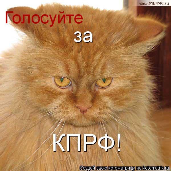 Голосуйте за КПРФ!... Котоматрица: Голосуйте за КПРФ!