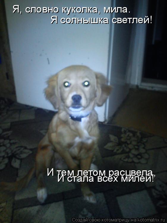 Я, словно куколка, мила. Я солнышка светлей! И тем летом расцвела, И стала всех милей!... Котоматрица: Я, словно куколка, мила. Я солнышка светлей! И тем летом расцвела, И стала всех милей!