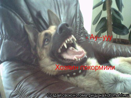 - Ау--ууу Хозяин покормиии... Котоматрица: - Ау--ууу Хозяин покормиии