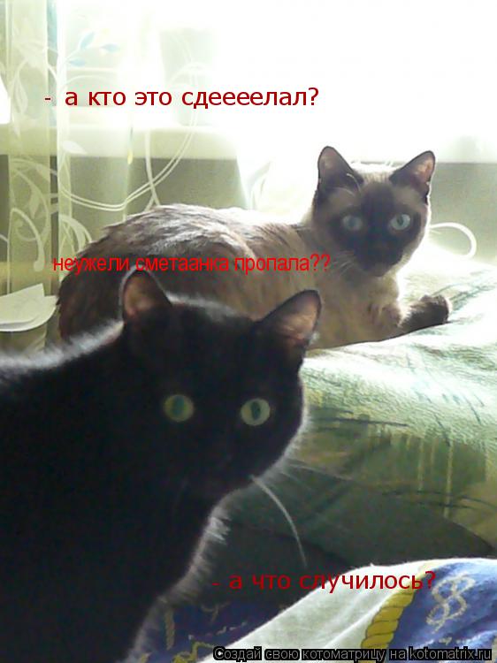 а кто это сдеееелал? а что случилось? неужели сметаанка пропала?? - -... Котоматрица: а кто это сдеееелал? а что случилось? неужели сметаанка пропала?? - -