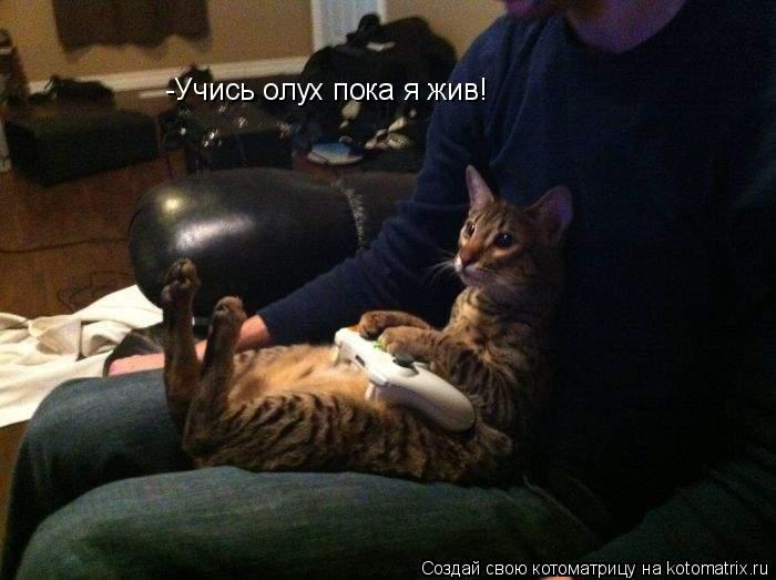 -Учись олух пока я жив!... Котоматрица: -Учись олух пока я жив!
