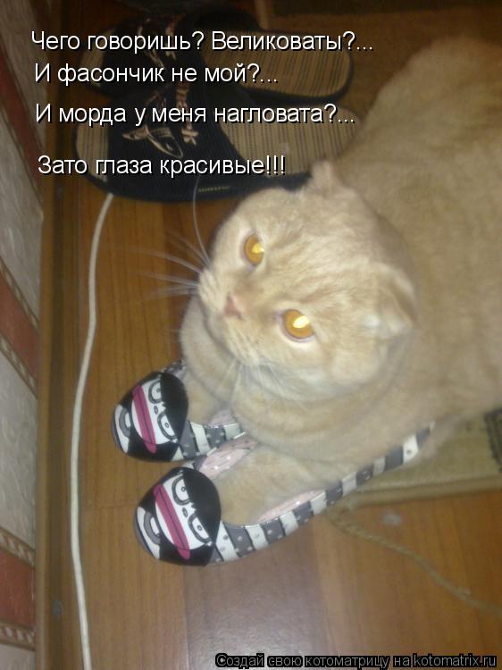 Чего говоришь? Великоваты?... И фасончик не мой?... И морда у меня нагловата?... Зато глаза красивые... Котоматрица: Чего говоришь? Великоваты?... И фасончик не мой?... И морда у меня нагловата?... Зато глаза красивые!!!