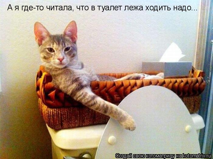 А я где-то читала, что в туалет лежа ходить надо...... Котоматрица: А я где-то читала, что в туалет лежа ходить надо...